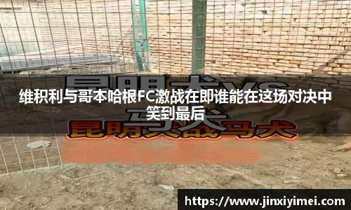 维积利与哥本哈根FC激战在即谁能在这场对决中笑到最后