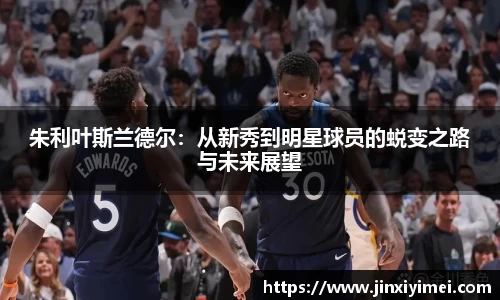 朱利叶斯兰德尔：从新秀到明星球员的蜕变之路与未来展望