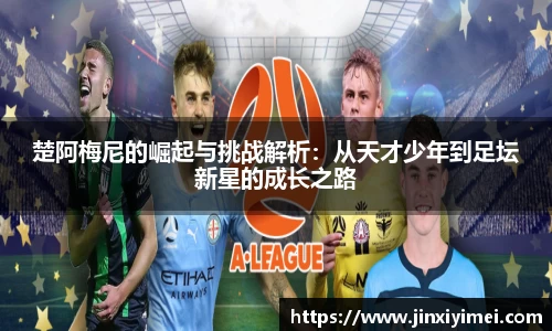 平博pinnacle体育